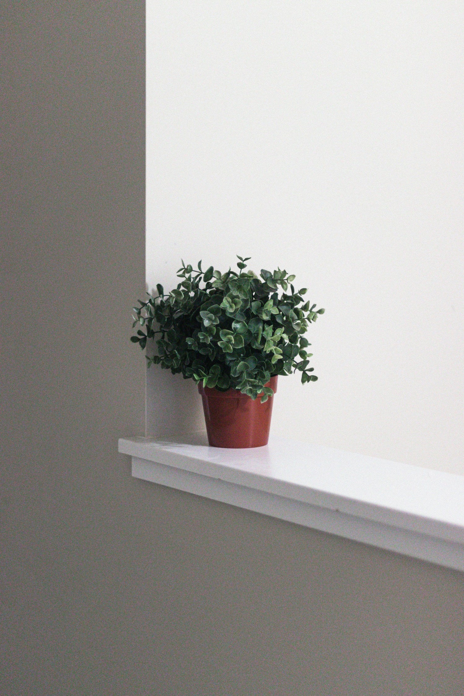 Faux Flowers & Plants