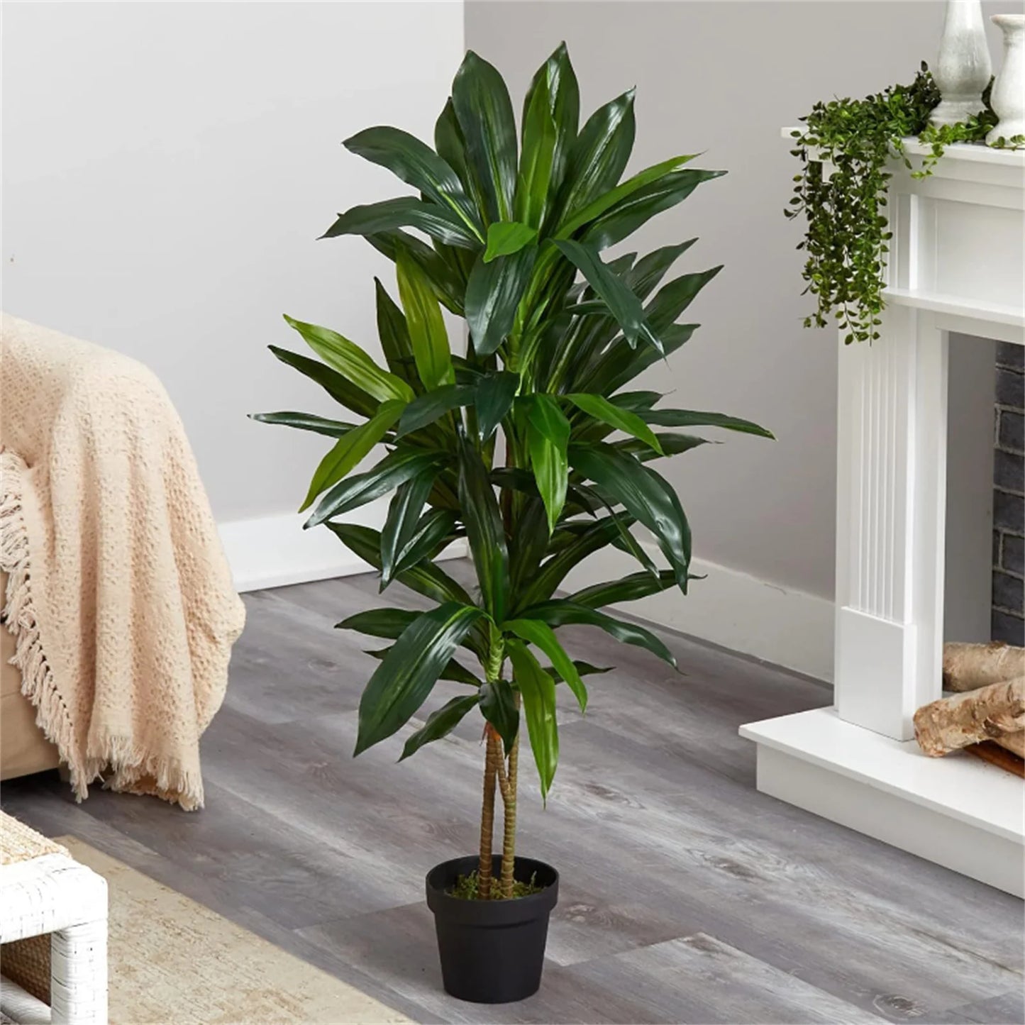 Guangdong Dracaena Indoor Plant Faux Tree In Pot Decorative