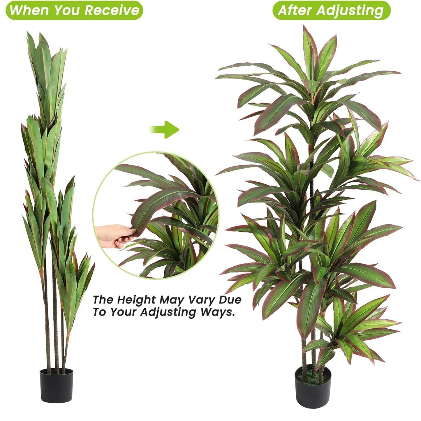Guangdong Dracaena Indoor Plant Faux Tree In Pot Decorative