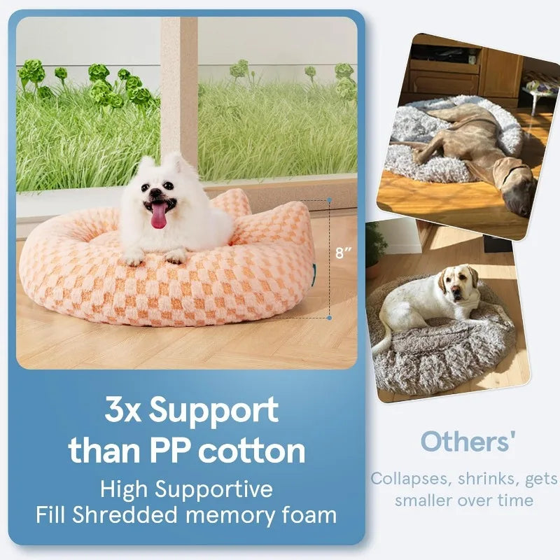 cats, Dog Beds for Medium Dogs, Removable and Washable