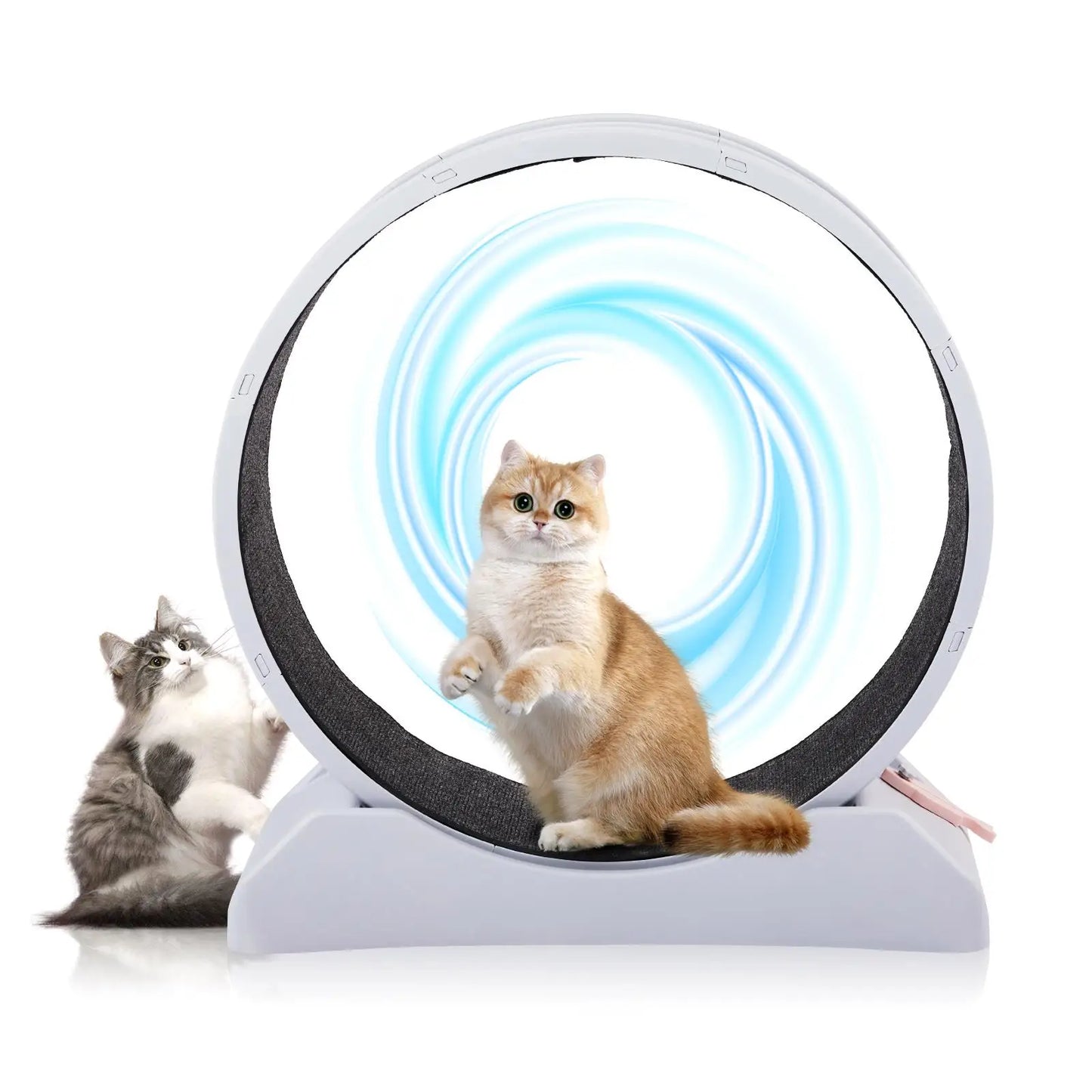 for indoor Cat Exercise Wheel, 31-Inch Treadmill for cats , Carpeted Running Track,