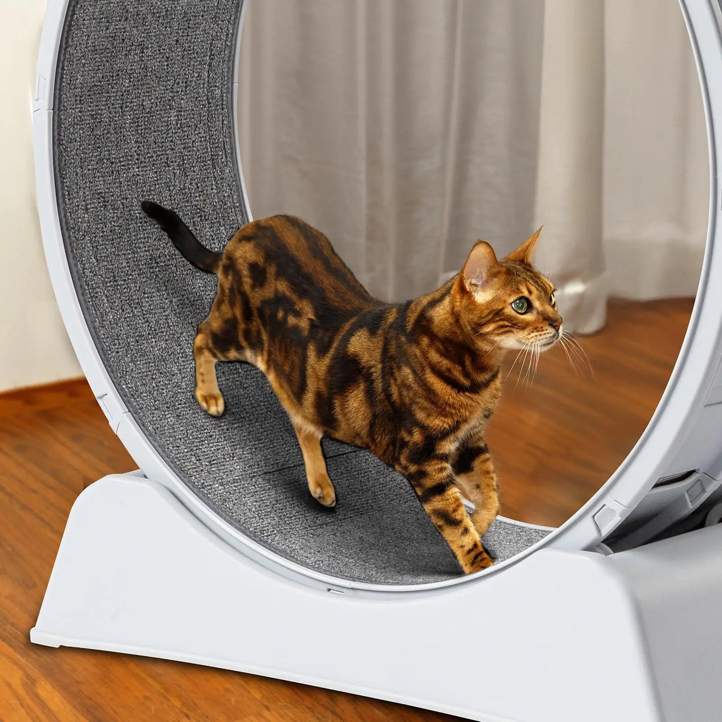 for indoor Cat Exercise Wheel, 31-Inch Treadmill for cats , Carpeted Running Track,