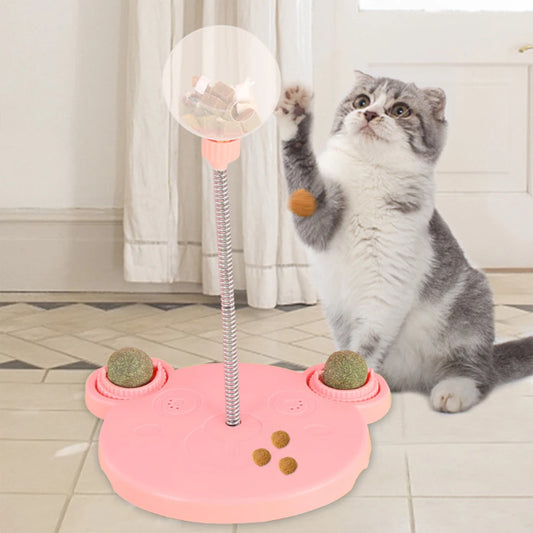 Cat Interactive Treat Leaking Ball by CN for Small Dogs