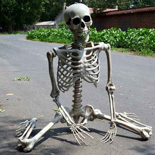 Full Life Size Scary Skull Halloween Decoration by CN Props