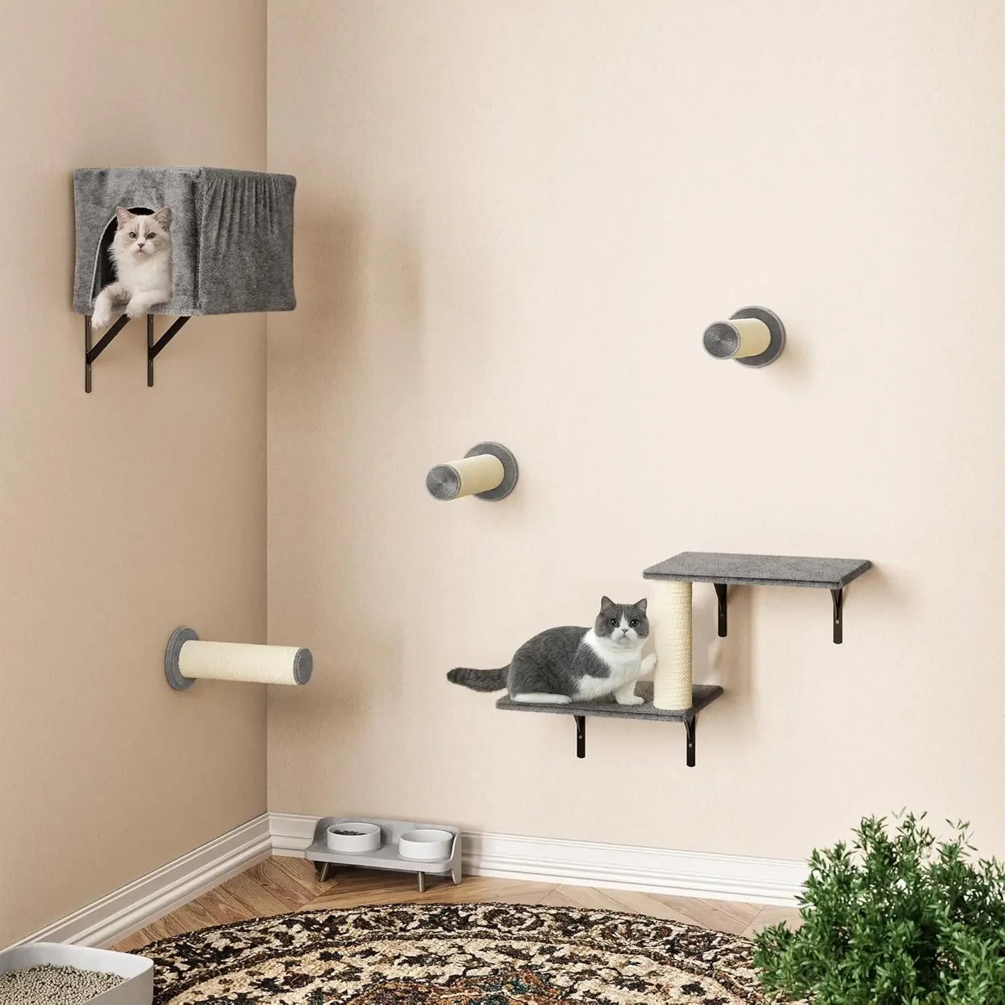 Breed Cat Wall Furniture Set with Shelves and Scratching Post