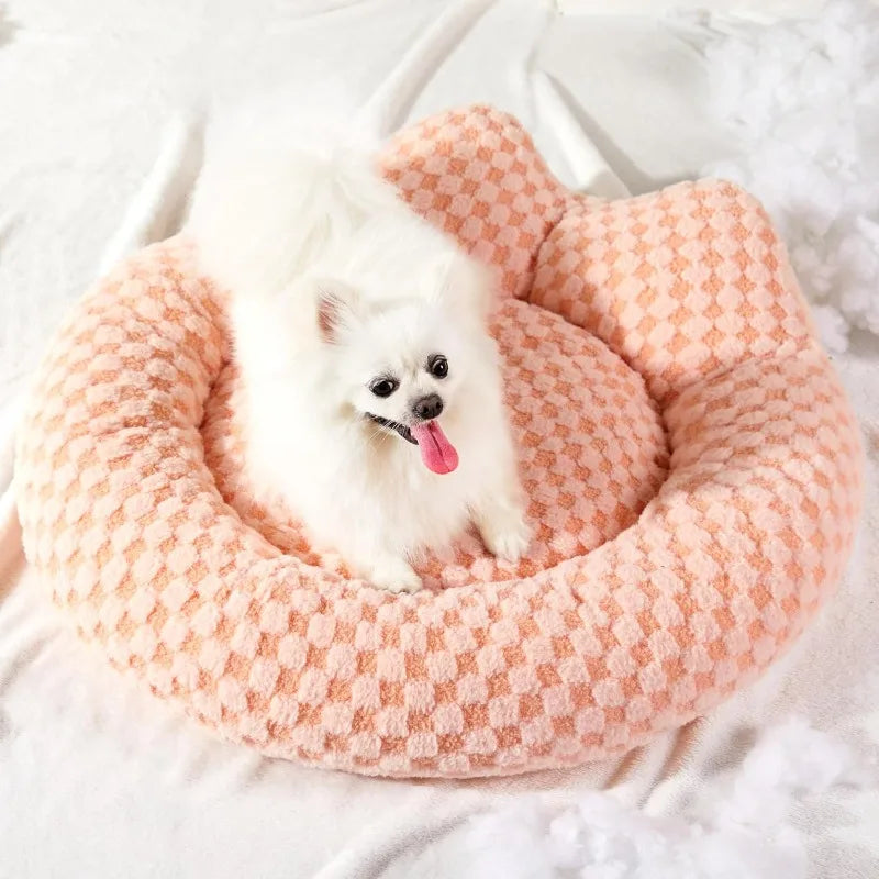 cats, Dog Beds for Medium Dogs, Removable and Washable